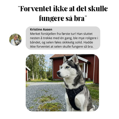 Rolig TurSele